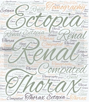 Cover image of the article: Intrathoracic Renal Ectopia: A Case Report and Review of the Literature