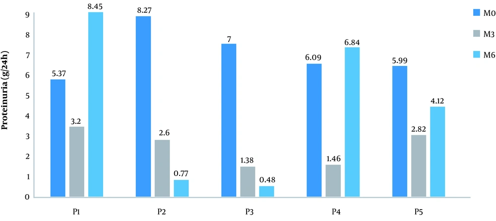 Daily proteinuria of each patient from M0 to M3 and M6 after Rituximab administration. All patients had nephrotic proteinuria prior to Rituximab administration. A reduction of more than 50% in proteinuria was noted in three patients at M3 (P2, P4, and P5) and in one patient (P2) at M6. Daily proteinuria of each patient from M0 to M3 and M6 after Rituximab administration. All patients had nephrotic proteinuria prior to Rituximab administration. A reduction of more than 50% in proteinuria was noted in three patients at M3 (P2, P4, and P5) and in one patient (P2) at M6.