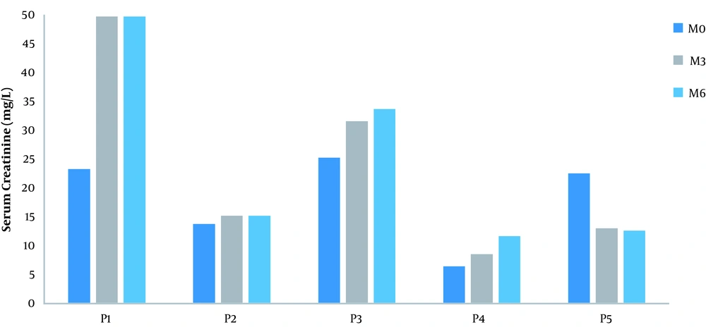 Serum creatinine level of each patient from M0 to M3 and M6 after Rituximab administration. Kidney function was preserved in one patient prior to Rituximab administration. It was normal in two patients at M3 and M6. A decrease or stabilization of kidney function was noted in three patients at M3 and M6 (P2, P4, and P5). Serum creatinine level of each patient from M0 to M3 and M6 after Rituximab administration. Kidney function was preserved in one patient prior to Rituximab administration. It was normal in two patients at M3 and M6. A decrease or stabilization of kidney function was noted in three patients at M3 and M6 (P2, P4, and P5).