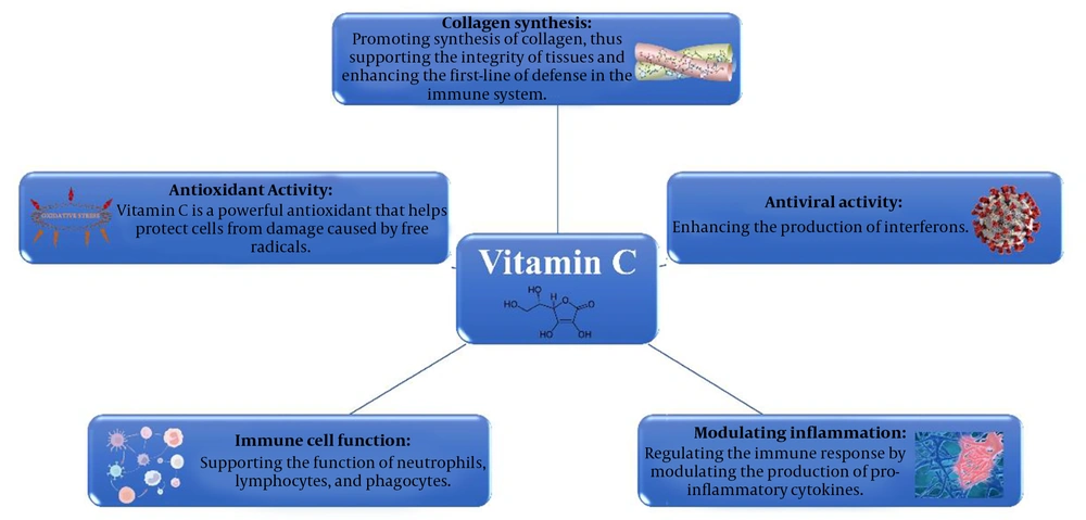 The roles of vitamin C in the immune system The roles of vitamin C in the immune system