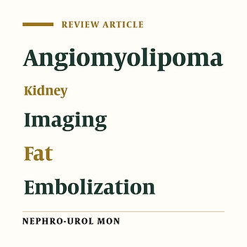 Recent Strategies for the Management of Renal Angiomyolipoma: A Review of Diagnostic and Therapeutic Approaches
