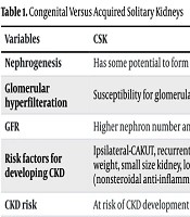 Fate of the Solitary Kidney-Nephrologist Panorama