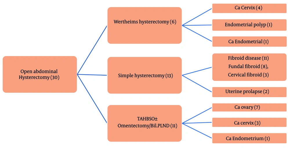 Distribution of patients according to the types of surgeries undergone and the corresponding pathologies Distribution of patients according to the types of surgeries undergone and the corresponding pathologies