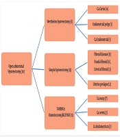Comparison of Lower Urinary Tract Function Before and After Undergoing Open Abdominal Hysterectomy: A Prospective Cohort Study