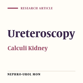 outcomes and Safety of Retrograde Intra-Renal Surgery for Renal Stones less Than 2 cm in Size