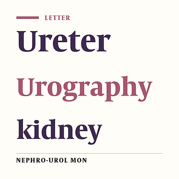 Comparison Between Intravenous Urography and Computed Tomography Urography in Diagnosing Ureteropelvic Junction Obstruction