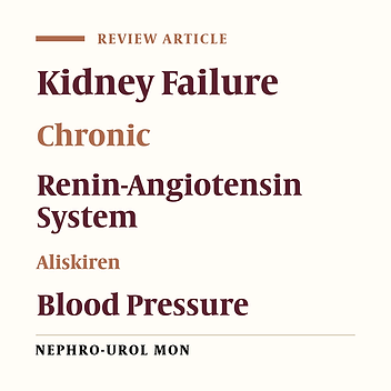 Direct Renin Inhibitor: Aliskiren in Chronic Kidney Disease