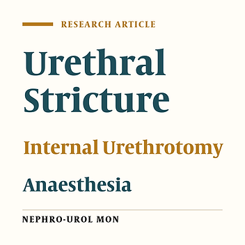 Internal Urethrotomy Under Local Urethral Anaesthesia Is Feasible With Sedation and Analgesia