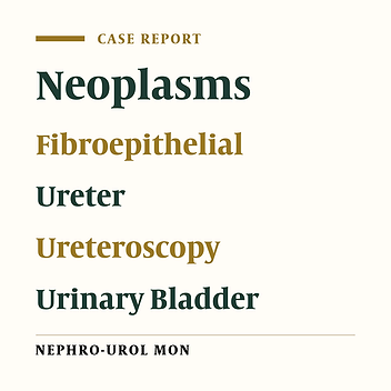 Giant Ureteral Fibroepithelial Polyp Presenting As a Bladder Mass Resected Ureteroscopically: A Case Report