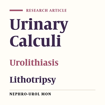 The Evaluation of Ureteroscopy and Pneumatic Lithotripsy Results in Pregnant Women With Urethral Calculi