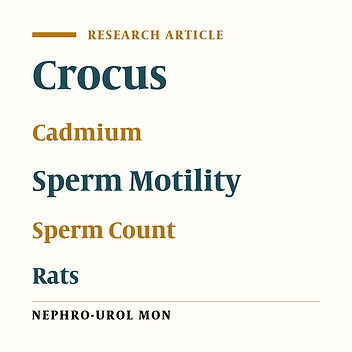 Saffron Improves Epididymal Sperm Parameters in Rats Exposed to Cadmium