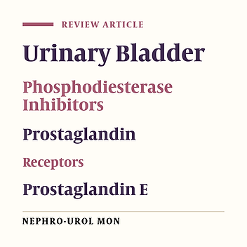 Rationale for the Use of Prostaglandins and Phosphodiesterase Inhibitors in the Treatment of Functional Bladder Disorders
