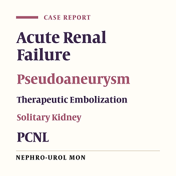 Intrarenal Pseudoaneurysm After Percutaneous Nephrolithotomy at Solitary Kidney