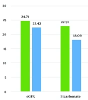 Impact of Metabolic Acidosis Correction with Sodium Bicarbonate on Preservation of Renal Function Among Predialysis Chronic Kidney Disease Patients