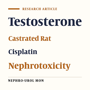 Effect of Testosterone on Cisplatin-Induced Nephrotoxicity in Surgically Castrated Rats