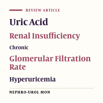 Associations Between Hyperuricemia and Chronic Kidney Disease: A Review