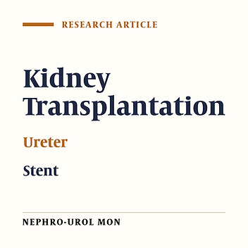 Double-J Versus External Ureteral Stents in Kidney Transplantation: A Retrospective Analysis