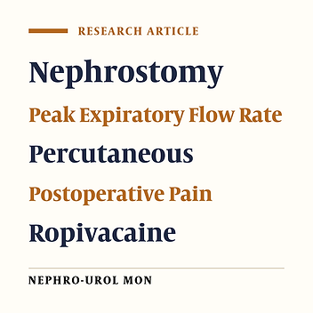 Effects of Ropivacaine on Postoperative Pain and Peak Expiratory Flow Rate in Patients Undergoing Percutaneous Nephrolithotomy
