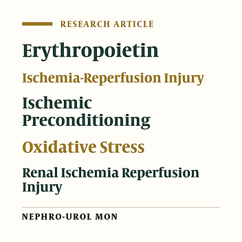 Ameliorative Effect of Recombinant Human Erythropoietin and Ischemic Preconditioning on Renal Ischemia Reperfusion Injury in Rats