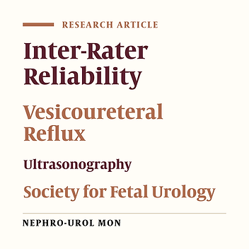 Increasing the Reliability of the Grading System for Voiding Cystourethrograms Using Ultrasonography: An Inter-Rater Comparison