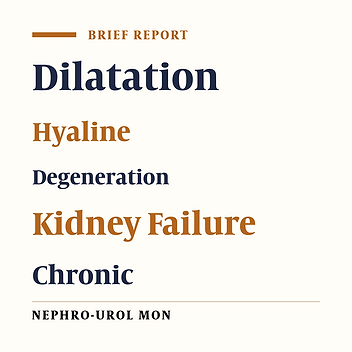 Vacuolization, Dilatation, Hyaline Cast, Debris or Degeneration: Which One Is the Most Correlated Item to Score the Kidney Damage Pathologically in Cisplatin Induced Nephrotoxicity Model?