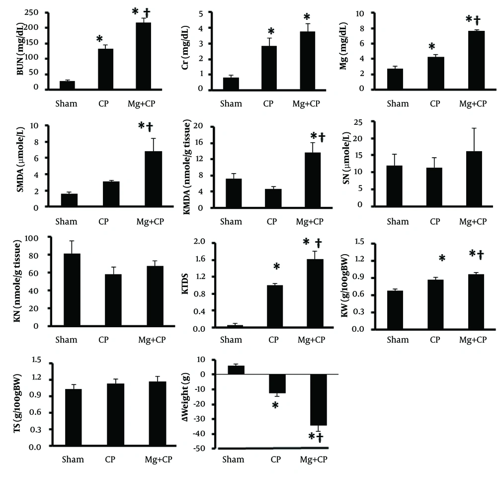 The Measured Biochemistry Parameters in Serum and Kidney, and Kidney Damage, Kidney Weight, Testis Weight and Body Weight in Four Experimental Groups. The data is reported as mean ± SEM. * and †indicate significant difference from the Sham and CP groups, respectively (P < 0.05). BUN: blood urea nitrogen, Cr: creatinine, SMDA: serum malondialdehyde, Mg: magnesium, SN: serum nitrite, KMDA: kidney MDA, KN: kidney nitrite, KTDS: kidney tissue damage score, KW: kidney weight per 100 g body weight, TS: testis weight per 100 g body weight, ∆Weight: body weight change, D: diabetic rats, D + CP: diabetic rats treated with cisplatin (CP), D + Mg: diabetic rats treated with magnesium (Mg), and D + Mg + CP: diabetic rats treated with the combination of Mg and CP.