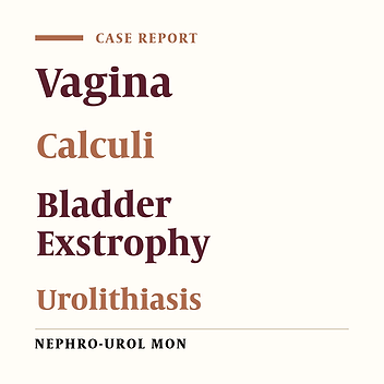 Large Vaginal and Bladder Calculi in a Woman With Previous Operation of Bladder Exstrophy: A Case Report