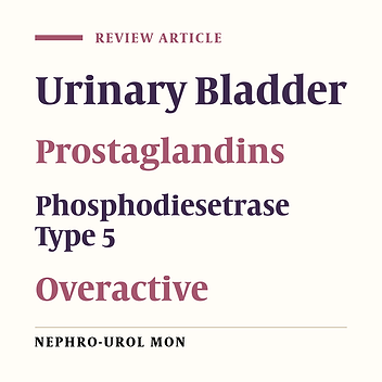 Overactive Bladder Syndrome and the Potential Role of Prostaglandins and Phosphodiesterases: An Introduction