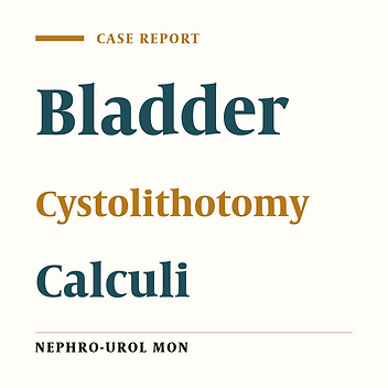 Delivery of Huge Bladder Stone in a Thirty-Five-Year-Old Man