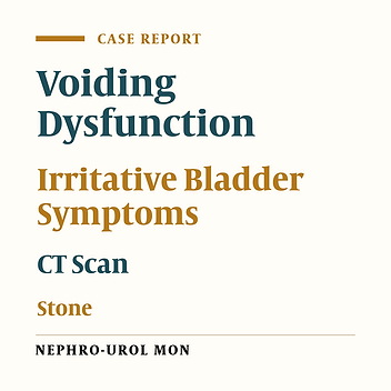 Role of Nonenhanced Spiral Computed Tomography Scan in Refractory Irritative Bladder Symptoms