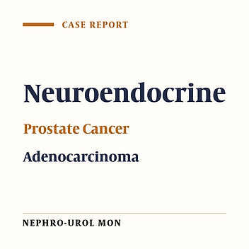 Large Cell Neuroendocrine Carcinoma of Prostate: A Rare Interesting Case and Literature Review