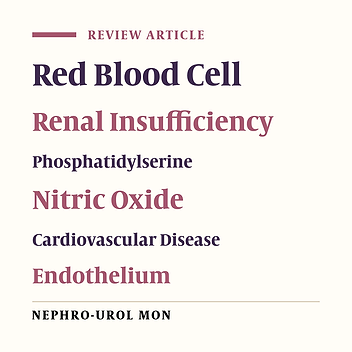 Erythrocyte Alterations and Increased Cardiovascular Risk in Chronic Renal Failure