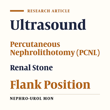 Feasibility of Pure Ultrasonography Guided Percutaneous Nephrolithotomy in Flank Position
