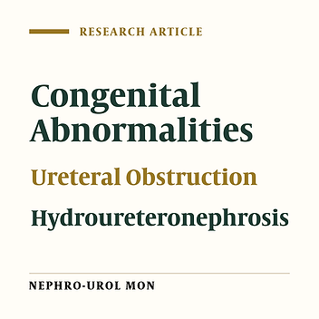 The Dilemma of Ureterovesical Junction Obstruction
