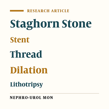 MiniJFil®: A New Safe and Effective Stent for Well-Tolerated Repeated Extracorporeal Shockwave Lithotripsy or Ureteroscopy for Medium-to-Large Kidney Stones?