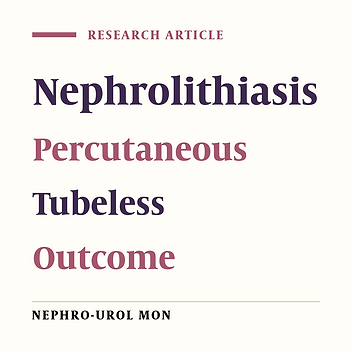 Totally Tubeless Percutaneous Nephrolithotomy: A Comparison with Tubeless and Standard Methods