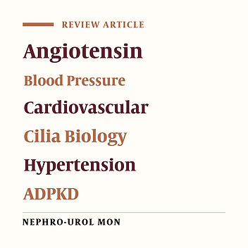 Hypertension in Autosomal Dominant Polycystic Kidney Disease: A Clinical and Basic Science Perspective