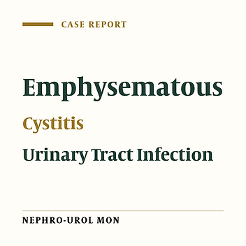 Emphysematous cystitis: a case report and review of the literature