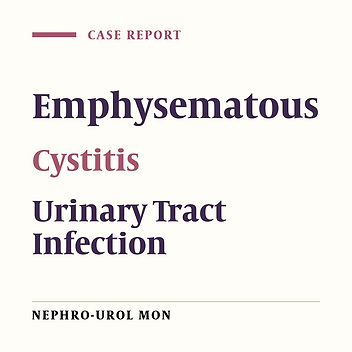 Emphysematous cystitis: a case report and review of the literature