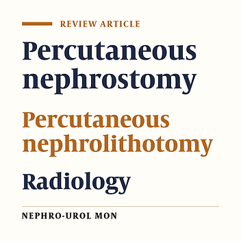 Percutaneous Renal Access by Urologist or Radiologist: A Review of the Literature