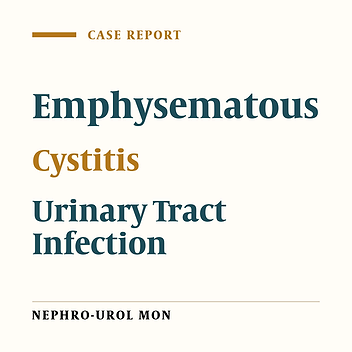 Emphysematous cystitis: a case report and review of the literature