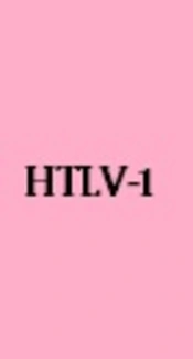 Relationship Between Clinical and Urodynamic Findings in HTLV-1-Infected Patients with HAM/TSP