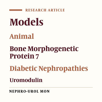 Changes in the Expression of Bone Morphogenetic Protein 7 and Tamm– Horsfall Protein in the Early Stages of Diabetic Nephropathy