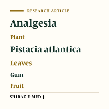 Comparative Evaluation of the Analgesic Effects of Pistacia atlantica Leaves, Gum, and Fruit Extracts in Rats
