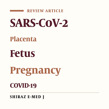 Investigation of SARS-CoV-2 Ability to Pass Through the Placenta