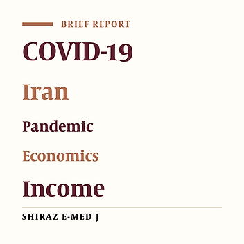 How Was People’s Income Affected by the Early Phase of the COVID-19 Pandemic in Iran?