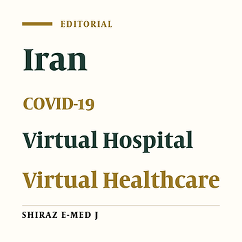 Virtual Hospitals During COVID-19 Pandemic: Pros and Cons