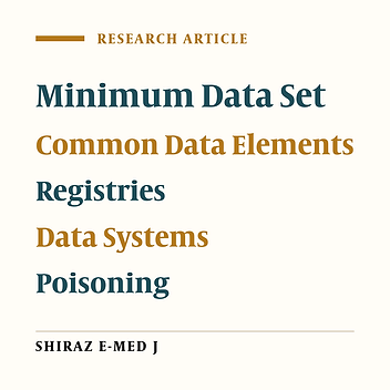 Data Infrastructure for a Poisoning Registry with Designing Data Elements and a Minimum Data Set