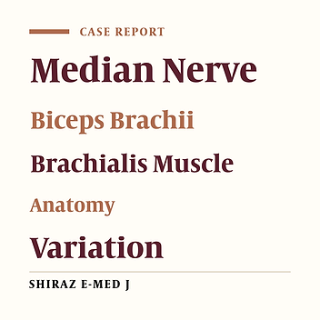 Abnormal Innervation of the Arm Muscles by the Median Nerve: A Case Report