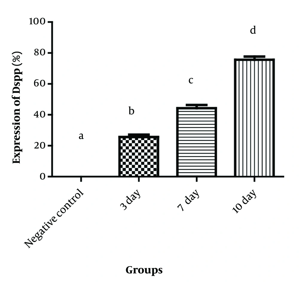Percentage of dentin sialophosphoprotein (DSPP) marker expression percentage in mesenchymal stem cells in the pulp tissue on days 3, 7, and 10 for the first group and negative control group Percentage of dentin sialophosphoprotein (DSPP) marker expression percentage in mesenchymal stem cells in the pulp tissue on days 3, 7, and 10 for the first group and negative control group